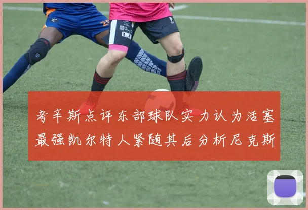 考辛斯点评东部球队实力认为活塞最强凯尔特人紧随其后分析尼克斯不足之处
