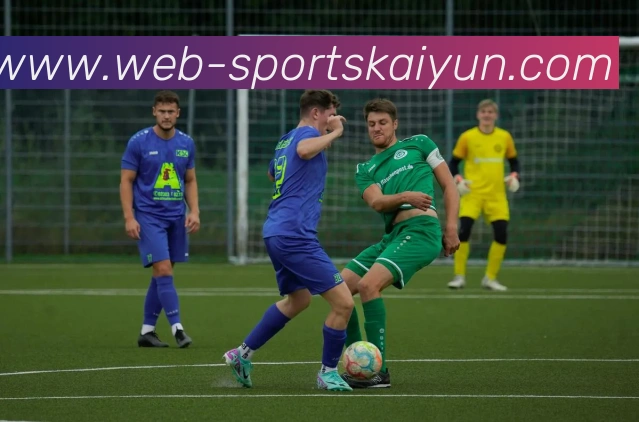 开云体育APP 封面图